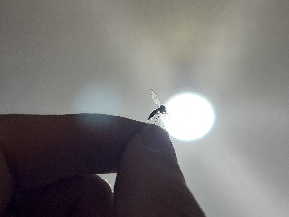 典当行揭开背债人的悲惨故事
